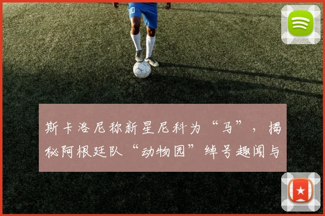 斯卡洛尼称新星尼科为“马”，揭秘阿根廷队“动物园”绰号趣闻与背后故事