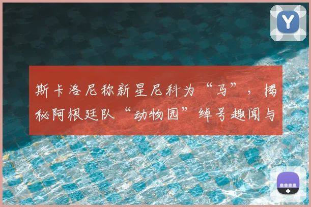 斯卡洛尼称新星尼科为“马”,揭秘阿根廷队“动物园”绰号趣闻与背后故事